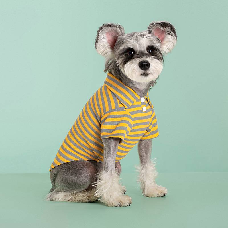 LINED YELLOW L
